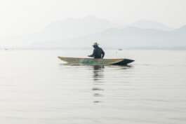 BLACK WATER GREEN GOLD